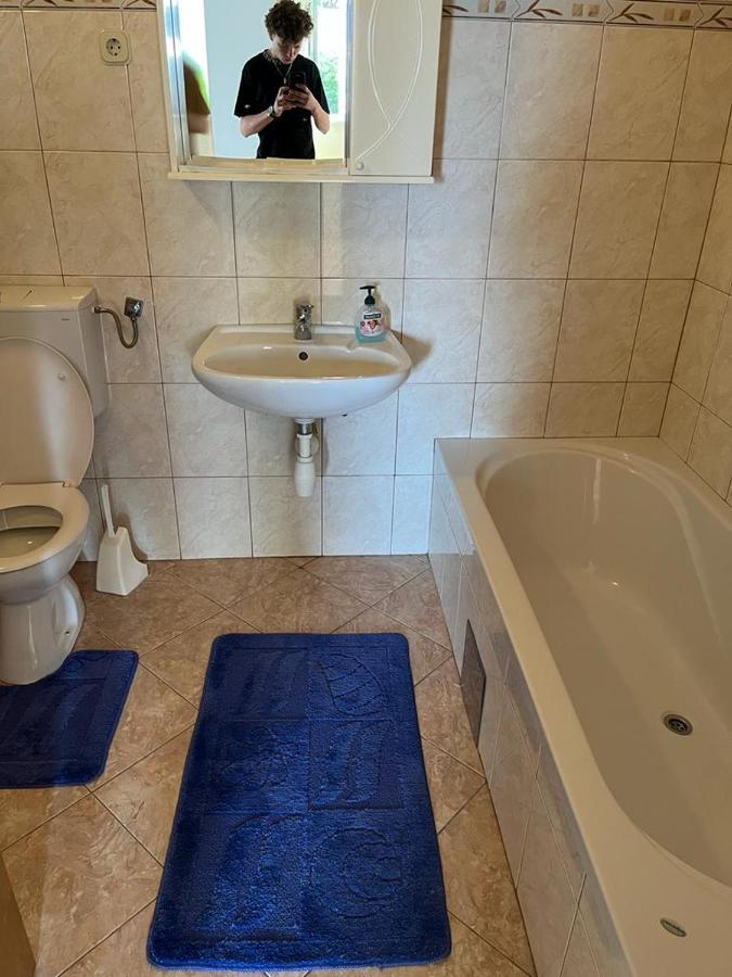 Tomic Apartment Zavalatica