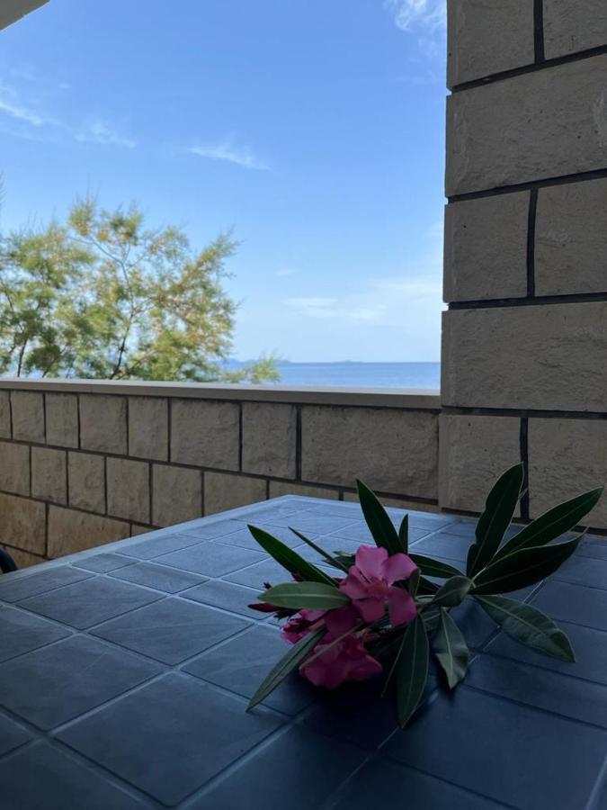 Tomic Apartment