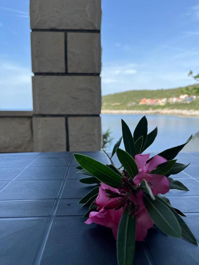 Apartment Tomic Zavalatica